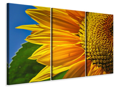 3-piece-canvas-print-the-bud-close-up