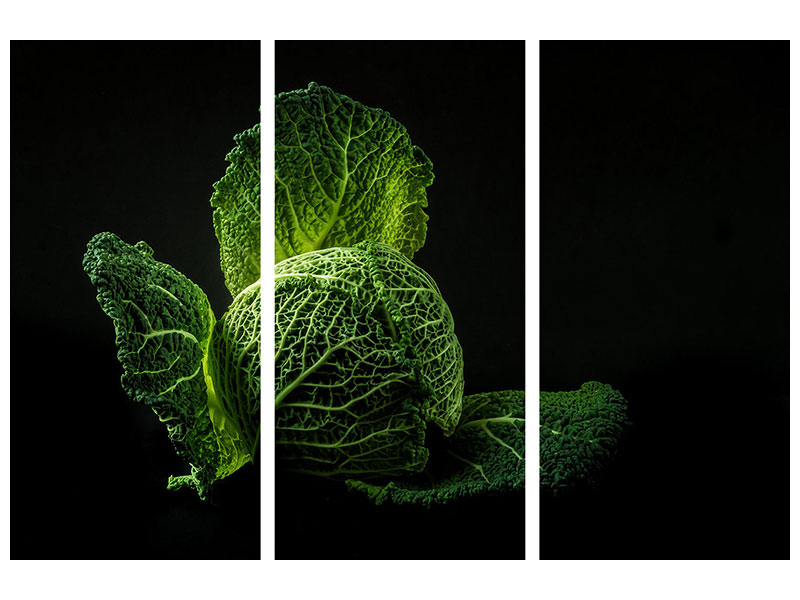 3-piece-canvas-print-the-cabbage