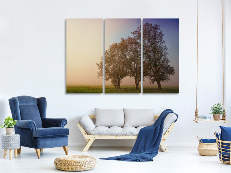 3-piece-canvas-print-the-crooked-tree