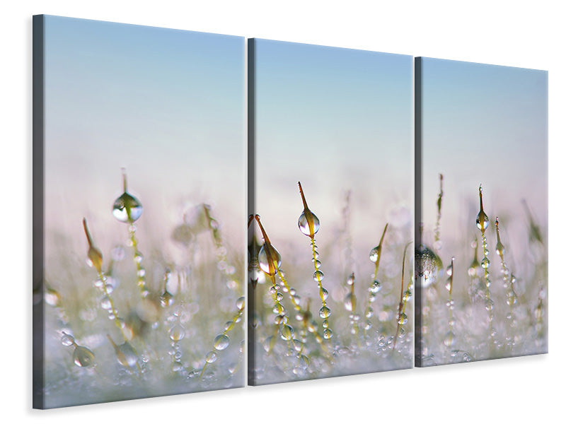 3-piece-canvas-print-the-dew-drops