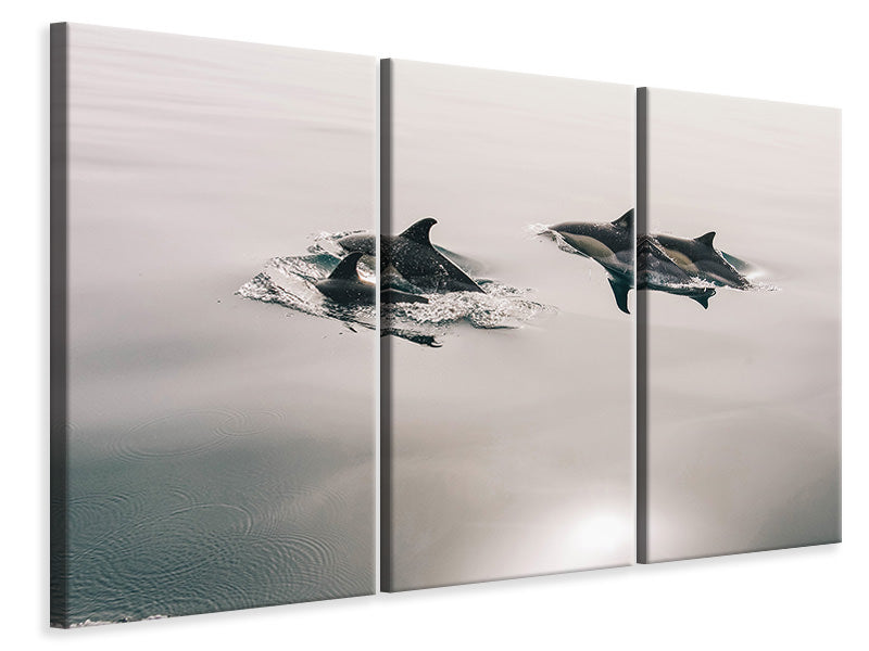 3-piece-canvas-print-the-dolphins