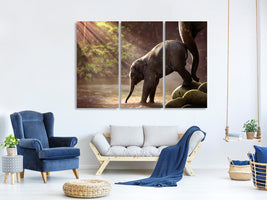 3-piece-canvas-print-the-elephant-baby