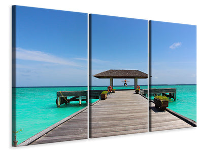 3-piece-canvas-print-the-freedom-at-the-sea