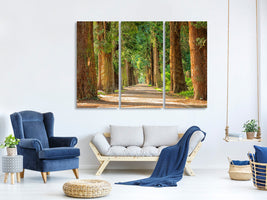 3-piece-canvas-print-the-green-avenue