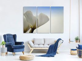 3-piece-canvas-print-the-leaf-of-a-lily-blossom