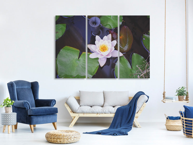 3-piece-canvas-print-the-lily-pad-in-white