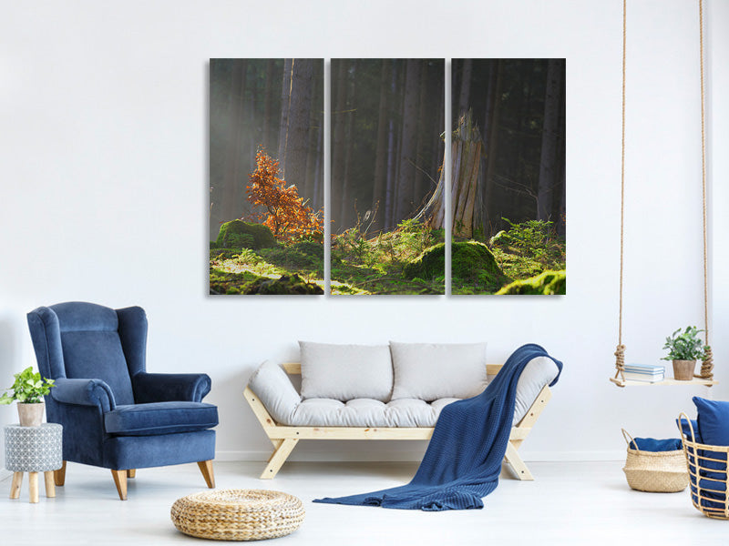 3-piece-canvas-print-the-magic-in-the-forest