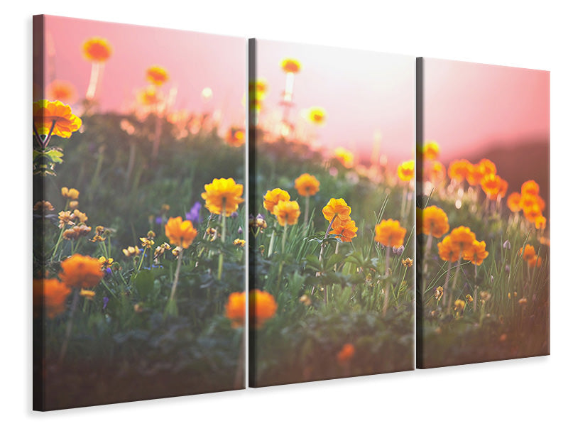 3-piece-canvas-print-the-mountain-meadow