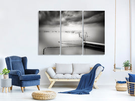 3-piece-canvas-print-the-netfish-iii