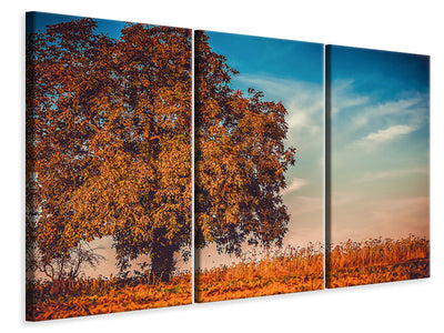 3-piece-canvas-print-the-nut-tree