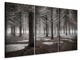 3-piece-canvas-print-the-onset-of-winter