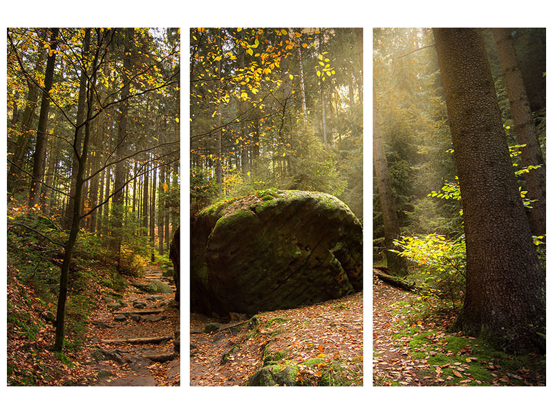 3-piece-canvas-print-the-rock-in-the-forest