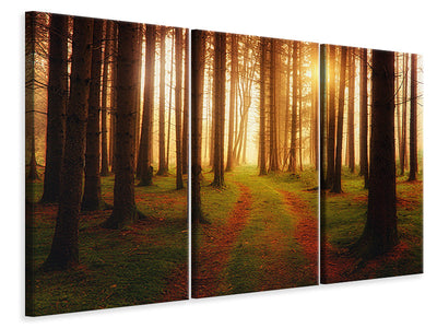 3-piece-canvas-print-the-unknown-way