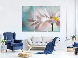 3-piece-canvas-print-tiny-duo