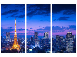 3-piece-canvas-print-tokyo-night-view