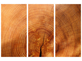 3-piece-canvas-print-tree-rings