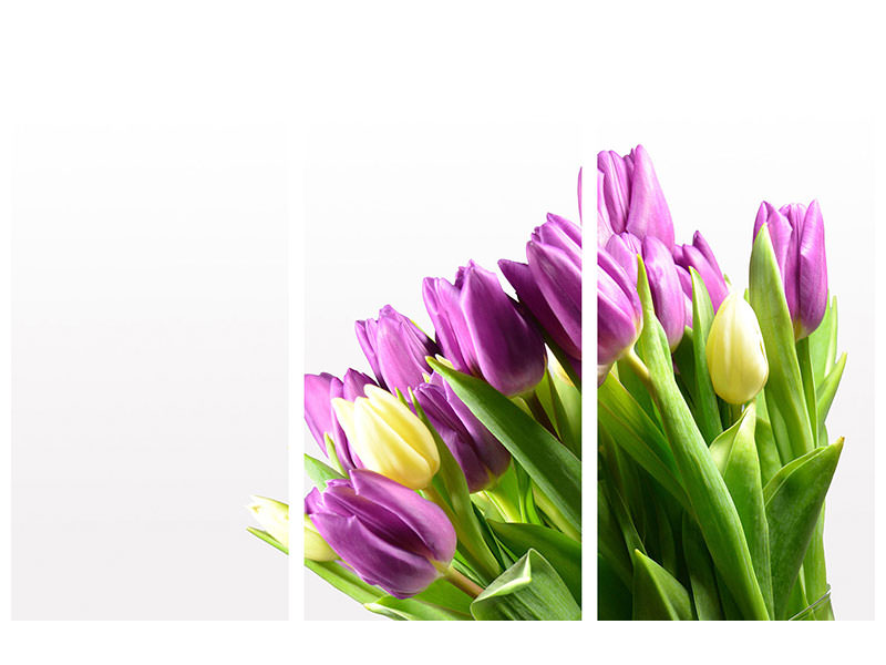 3-piece-canvas-print-tulips-in-xl