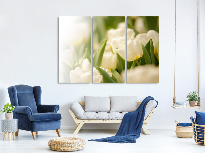 3-piece-canvas-print-tulips-perspective