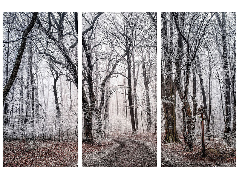 3-piece-canvas-print-wintry-forest