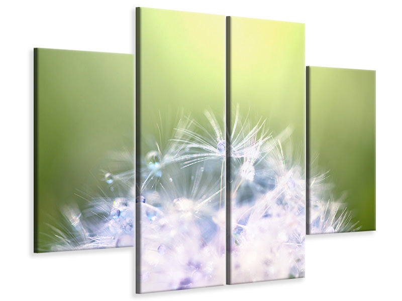 4-piece-canvas-print-dandelion-xl-in-morning-dew