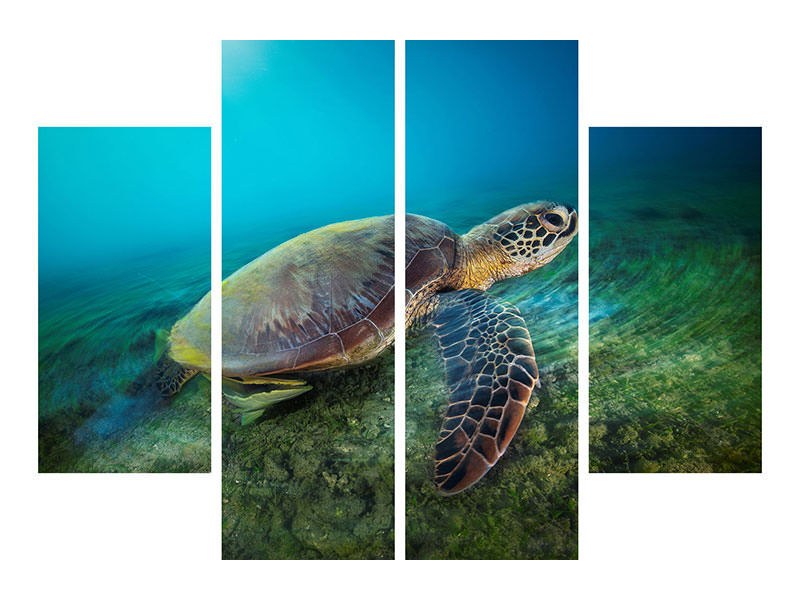 4-piece-canvas-print-green-turtle