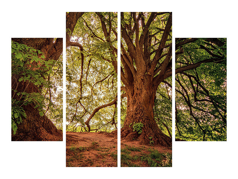 4-piece-canvas-print-in-the-dense-forest