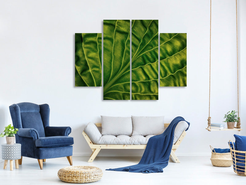 4-piece-canvas-print-leaf-of-a-hosta