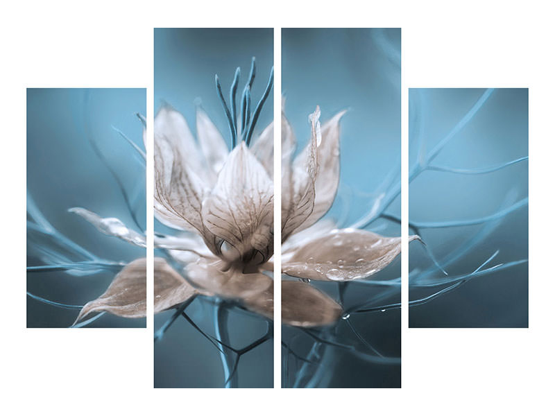 4-piece-canvas-print-nigella