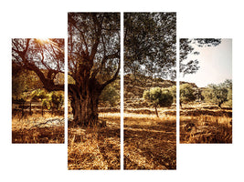 4-piece-canvas-print-olive-grove