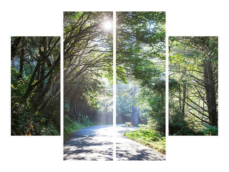 4-piece-canvas-print-sunny-forest-path