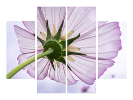 4-piece-canvas-print-the-cosmos-flower