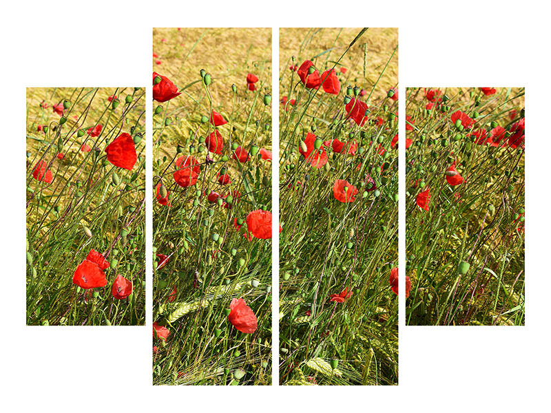 4-piece-canvas-print-the-poppy-in-the-wind