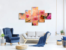 5-piece-canvas-print-exotic-orchids