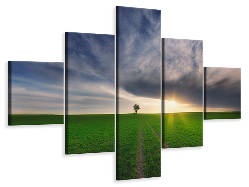 5-piece-canvas-print-loner-in-the-sun