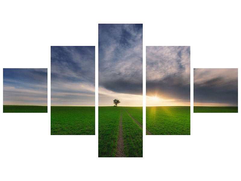 5-piece-canvas-print-loner-in-the-sun