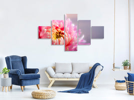 5-piece-canvas-print-macro-chrysanthemum