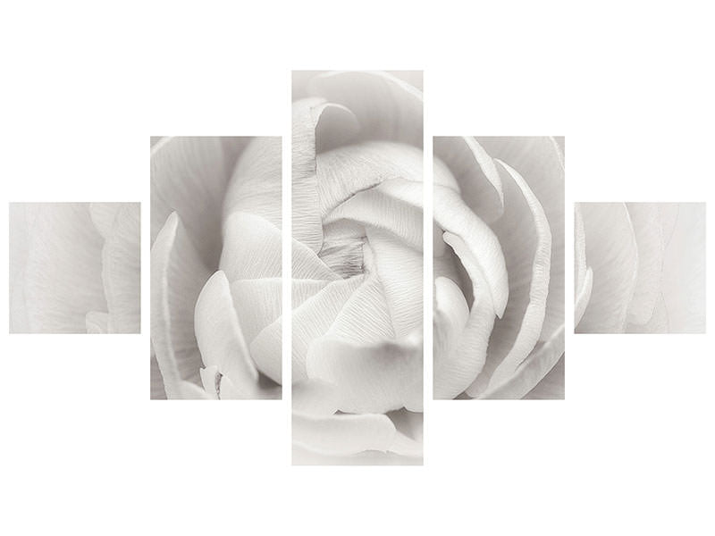 5-piece-canvas-print-ranunculus