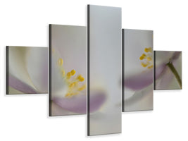 5-piece-canvas-print-soft-whispering