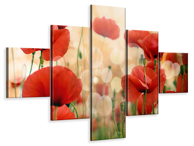 5-piece-canvas-print-the-poppy