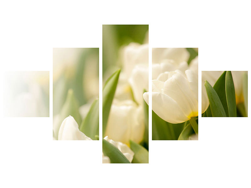 5-piece-canvas-print-tulips-perspective