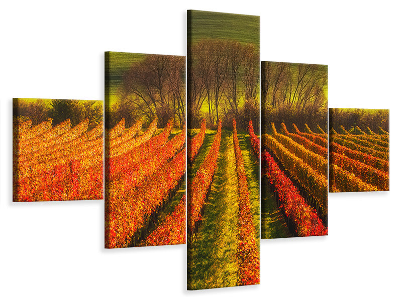 5-piece-canvas-print-vine-growing