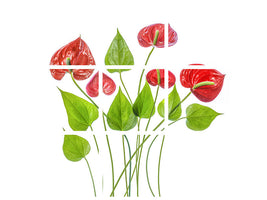 9-piece-canvas-print-anthurium