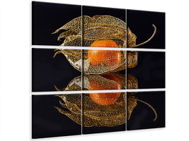 9-piece-canvas-print-physalis