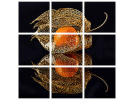 9-piece-canvas-print-physalis