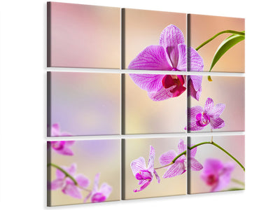 9-piece-canvas-print-romantic-orchids