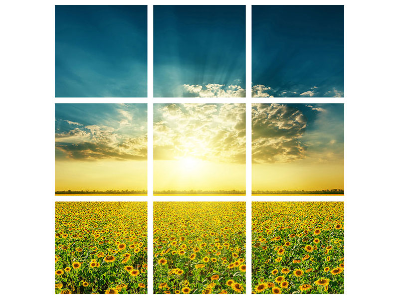 9-piece-canvas-print-sunflowers-in-the-evening-sun