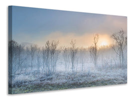 canvas-print-a-touch-of-winter