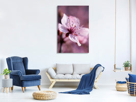 canvas-print-adorable-cherry-blossom