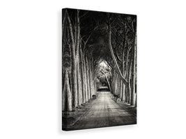 canvas-print-alley