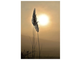 canvas-print-atmospheric